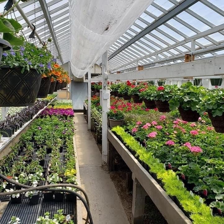 Events Gooch’s GreenhouseGooch’s Greenhouse